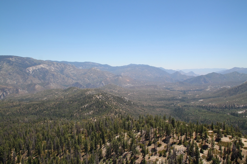 Sequoia National Forest